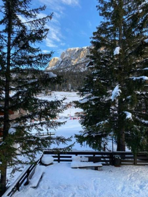 Appartamento ai piedi delle Dolomiti Selva Di Val Gardena